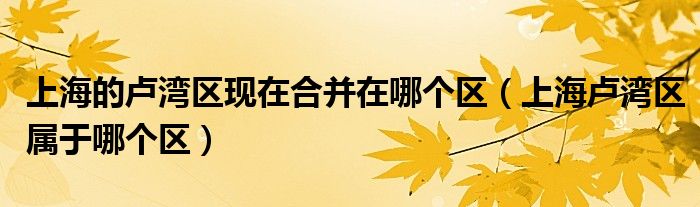 上海的盧灣區(qū)現(xiàn)在合并在哪個(gè)區(qū)（上海盧灣區(qū)屬于哪個(gè)區(qū)）