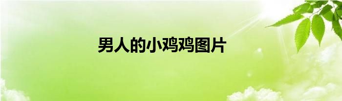 男人的小雞雞圖片