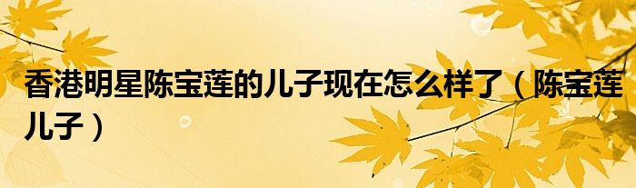 香港明星陳寶蓮的兒子現(xiàn)在怎么樣了（陳寶蓮兒子）