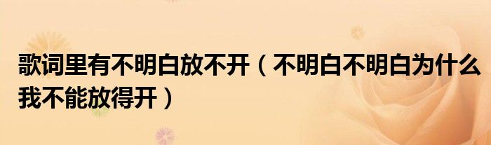 歌詞里有不明白放不開（不明白不明白為什么我不能放得開）