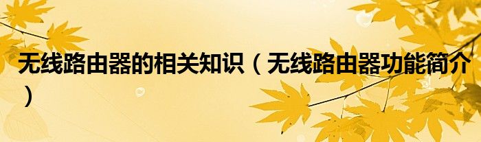 無線路由器的相關(guān)知識（無線路由器功能簡介）