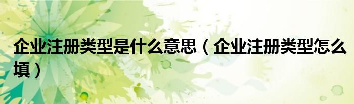 企業(yè)注冊類型是什么意思（企業(yè)注冊類型怎么填）