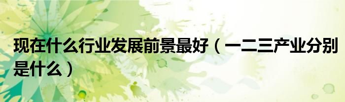 現(xiàn)在什么行業(yè)發(fā)展前景最好（一二三產(chǎn)業(yè)分別是什么）