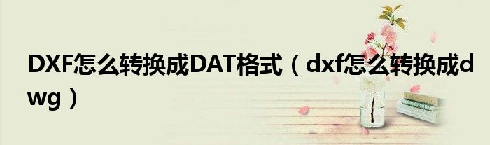 DXF怎么轉(zhuǎn)換成DAT格式（dxf怎么轉(zhuǎn)換成dwg）
