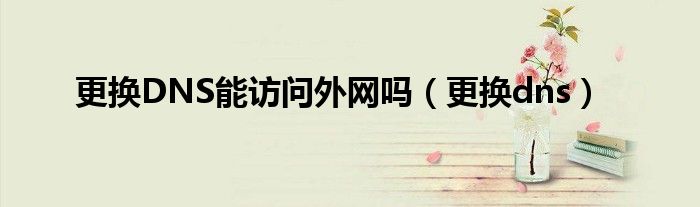 更換DNS能訪問外網(wǎng)嗎（更換dns）
