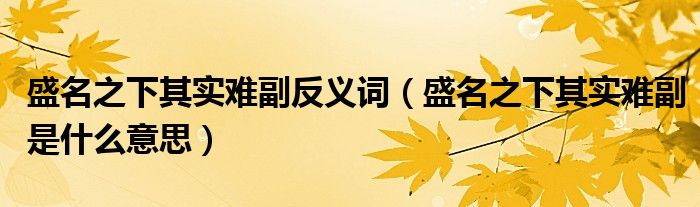 盛名之下其實(shí)難副反義詞（盛名之下其實(shí)難副是什么意思）