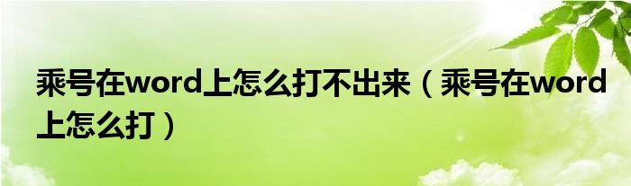 乘號在word上怎么打不出來（乘號在word上怎么打）