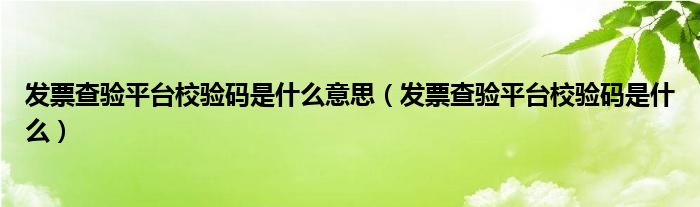 發(fā)票查驗(yàn)平臺(tái)校驗(yàn)碼是什么意思（發(fā)票查驗(yàn)平臺(tái)校驗(yàn)碼是什么）