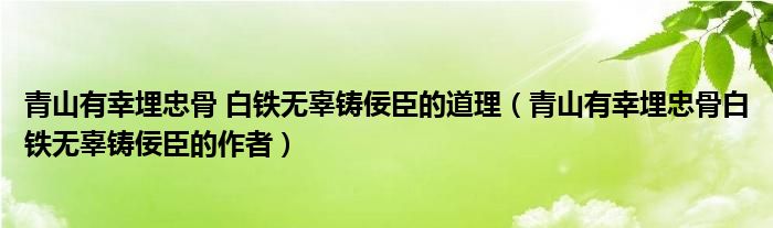 青山有幸埋忠骨 白鐵無辜鑄佞臣的道理（青山有幸埋忠骨白鐵無辜鑄佞臣的作者）