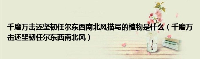 千磨萬擊還堅韌任爾東西南北風(fēng)描寫的植物是什么（千磨萬擊還堅韌任爾東西南北風(fēng)）