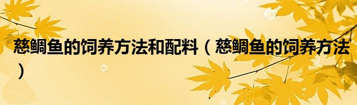 慈鯛魚的飼養(yǎng)方法和配料（慈鯛魚的飼養(yǎng)方法）