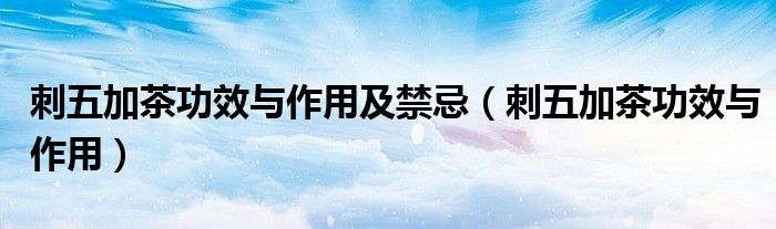 刺五加茶功效與作用及禁忌（刺五加茶功效與作用）