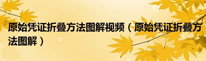 原始憑證折疊方法圖解視頻（原始憑證折疊方法圖解）