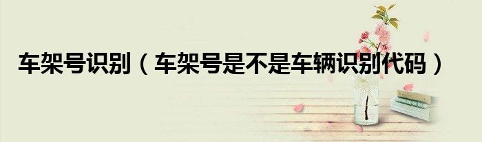 車架號(hào)識(shí)別（車架號(hào)是不是車輛識(shí)別代碼）