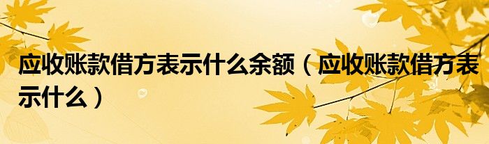 應(yīng)收賬款借方表示什么余額（應(yīng)收賬款借方表示什么）