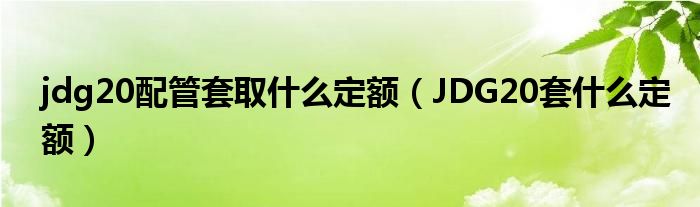 jdg20配管套取什么定額（JDG20套什么定額）