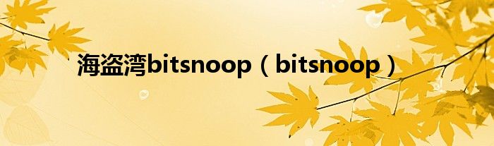 海盜灣bitsnoop（bitsnoop）