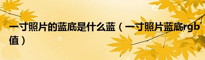 一寸照片的藍(lán)底是什么藍(lán)（一寸照片藍(lán)底rgb值）