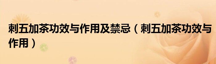 刺五加茶功效與作用及禁忌（刺五加茶功效與作用）