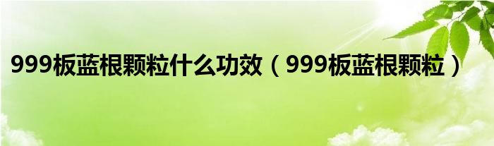 999板藍根顆粒什么功效（999板藍根顆粒）