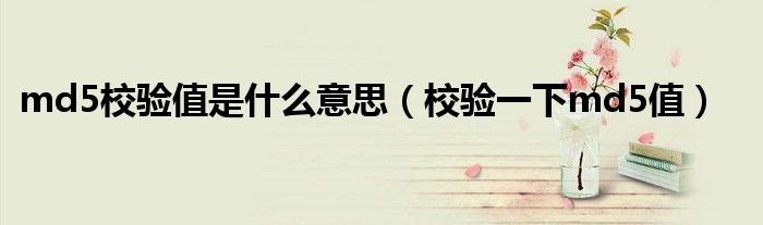 md5校驗(yàn)值是什么意思（校驗(yàn)一下md5值）