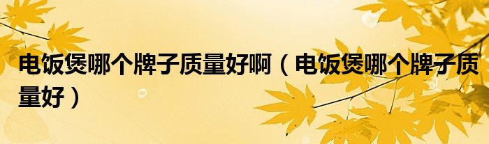 電飯煲哪個(gè)牌子質(zhì)量好啊（電飯煲哪個(gè)牌子質(zhì)量好）
