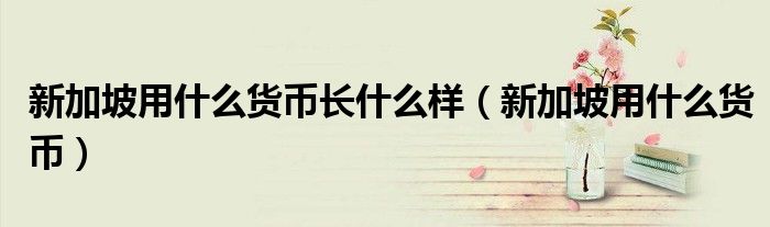 新加坡用什么貨幣長什么樣（新加坡用什么貨幣）