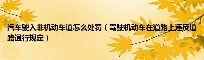 汽車駛入非機動車道怎么處罰（駕駛機動車在道路上違反道路通行規(guī)定）
