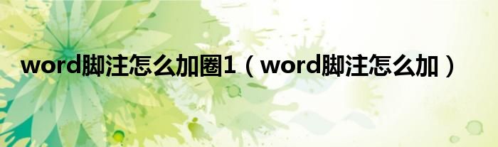 word腳注怎么加圈1（word腳注怎么加）