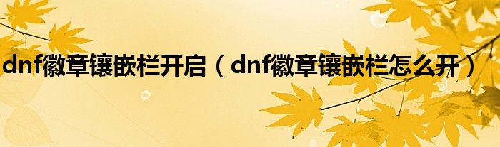 dnf徽章鑲嵌欄開(kāi)啟（dnf徽章鑲嵌欄怎么開(kāi)）