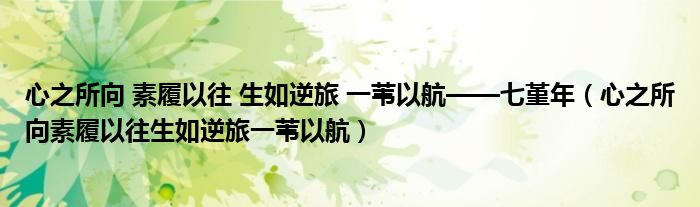 心之所向 素履以往 生如逆旅 一葦以航——七堇年（心之所向素履以往生如逆旅一葦以航）