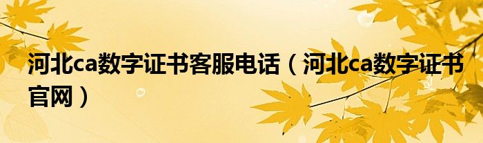 河北ca數(shù)字證書客服電話（河北ca數(shù)字證書官網(wǎng)）
