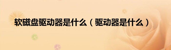 軟磁盤驅動器是什么（驅動器是什么）