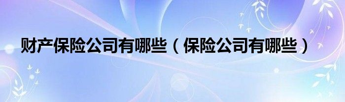 財(cái)產(chǎn)保險(xiǎn)公司有哪些（保險(xiǎn)公司有哪些）