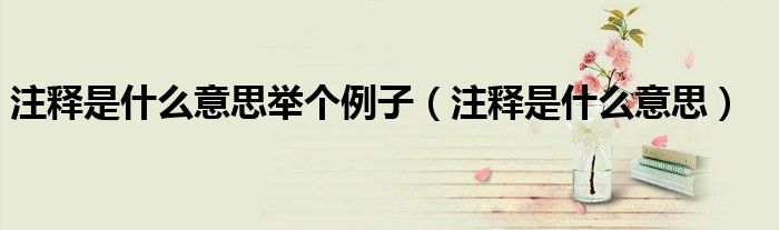 注釋是什么意思舉個(gè)例子（注釋是什么意思）