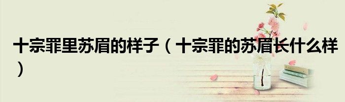 十宗罪里蘇眉的樣子（十宗罪的蘇眉長什么樣）