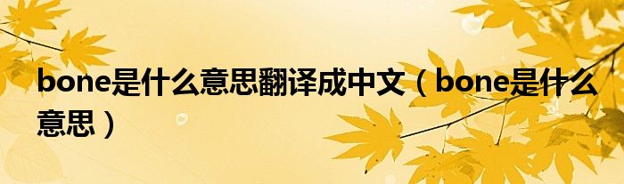 bone是什么意思翻譯成中文（bone是什么意思）