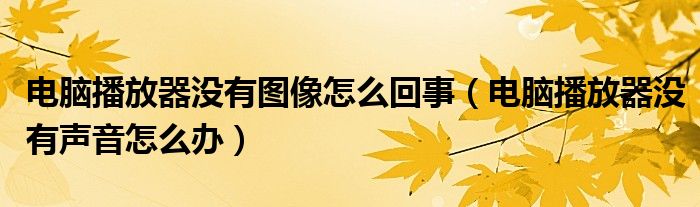 電腦播放器沒有圖像怎么回事（電腦播放器沒有聲音怎么辦）
