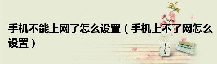 手機(jī)不能上網(wǎng)了怎么設(shè)置（手機(jī)上不了網(wǎng)怎么設(shè)置）