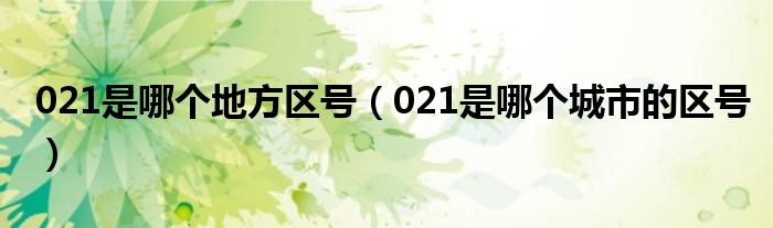 021是哪個(gè)地方區(qū)號(hào)（021是哪個(gè)城市的區(qū)號(hào)）