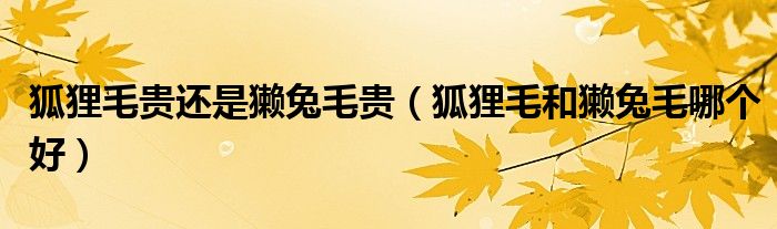 狐貍毛貴還是獺兔毛貴（狐貍毛和獺兔毛哪個(gè)好）