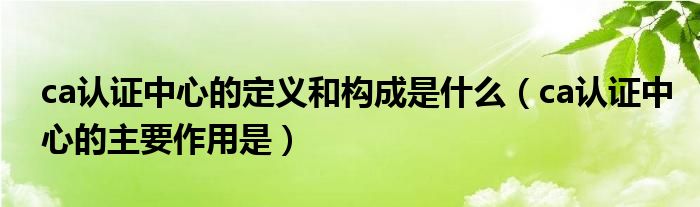 ca認(rèn)證中心的定義和構(gòu)成是什么（ca認(rèn)證中心的主要作用是）
