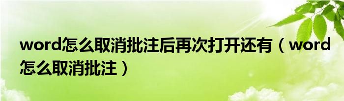 word怎么取消批注后再次打開(kāi)還有（word怎么取消批注）