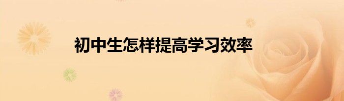 初中生怎樣提高學習效率
