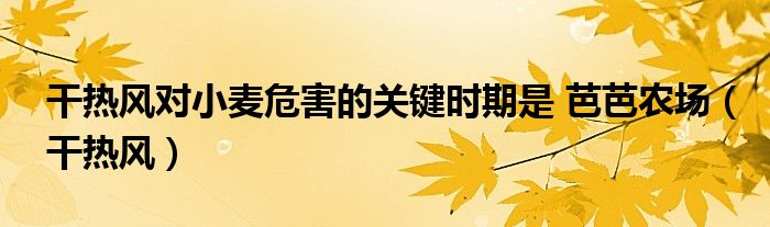 干熱風(fēng)對小麥危害的關(guān)鍵時(shí)期是 芭芭農(nóng)場（干熱風(fēng)）
