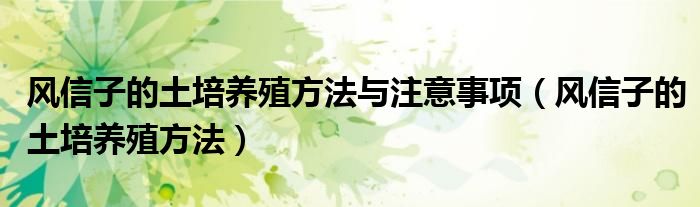 風(fēng)信子的土培養(yǎng)殖方法與注意事項（風(fēng)信子的土培養(yǎng)殖方法）