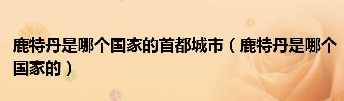 鹿特丹是哪個國家的首都城市（鹿特丹是哪個國家的）