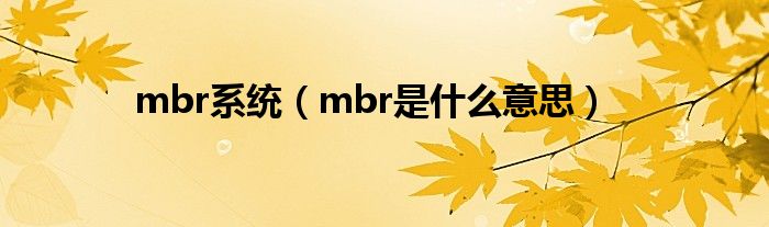 mbr系統(tǒng)（mbr是什么意思）