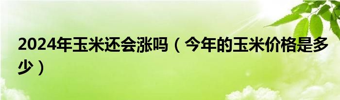 2024年玉米還會漲嗎（今年的玉米價(jià)格是多少）