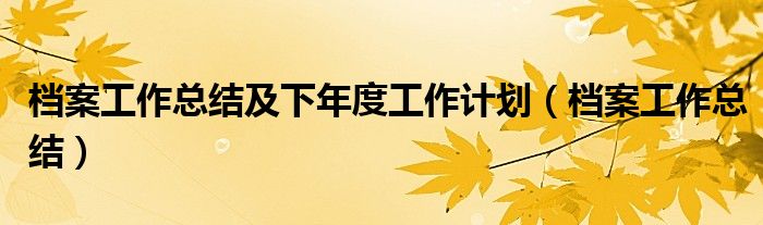 檔案工作總結及下年度工作計劃（檔案工作總結）
